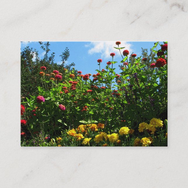 Carte De Visite Marigolds, Zinnias et Blue Sky ATC (Devant)