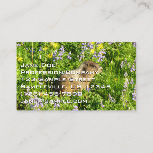 Carte De Visite Marmot dans le Mont Rainier Fleurs sauvages