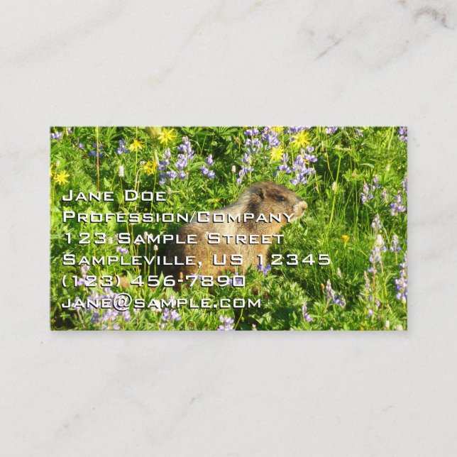 Carte De Visite Marmot dans le Mont Rainier Fleurs sauvages (Devant)
