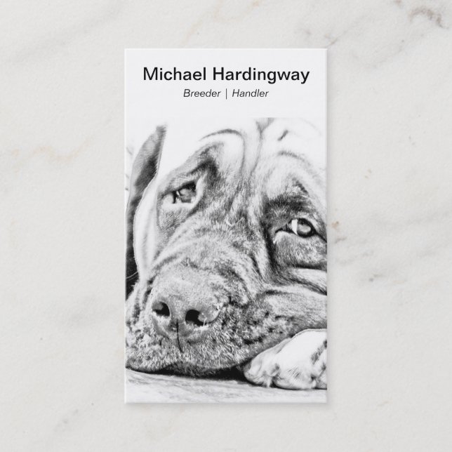 Carte De Visite Mastiff paresseux (Devant)