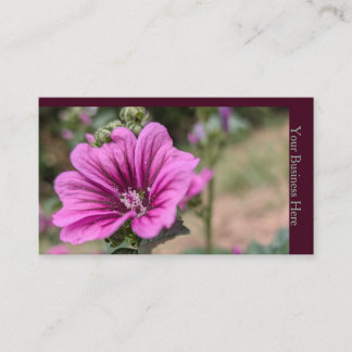 Carte De Visite Mauve Sauvage
