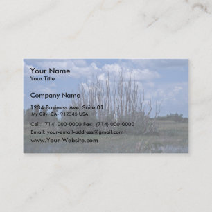 Carte De Visite Melaleuca morte