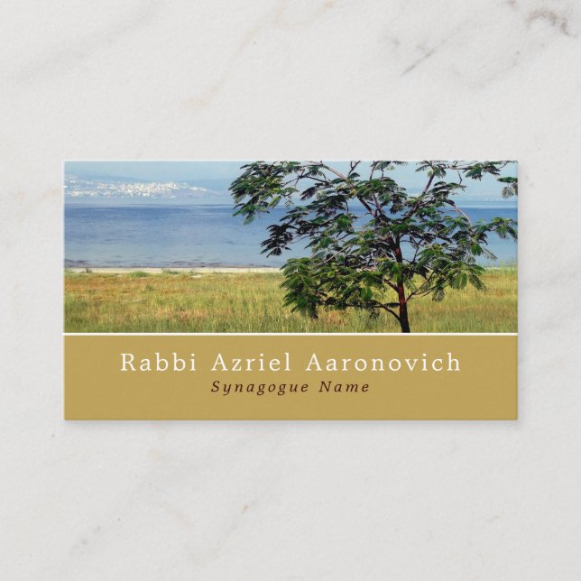 Carte De Visite Mer de Galilée, Israël, Judaïsme, Religieux (Devant)