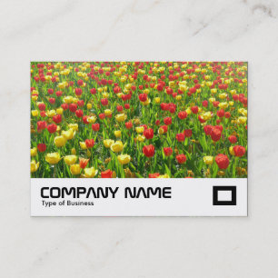 Carte De Visite Mer des Tulipes II