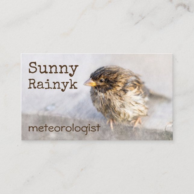 Carte De Visite Météo Prévision drôle Personnalisable (Devant)