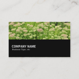 Carte De Visite Mi-chemin 0110 - Automne Bleu