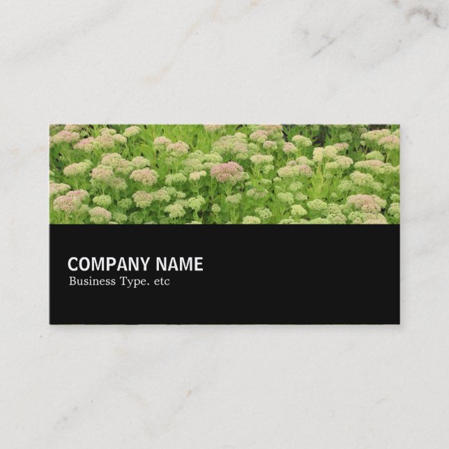 Carte De Visite Mi-chemin 0110 - Automne Bleu (Devant)