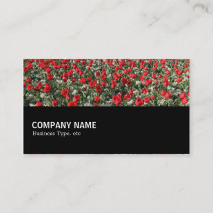 Carte De Visite Mi-chemin 097 - Tulipes rouges et Primroses