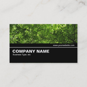 Carte De Visite Mi-chemin V2 029 - Canopée de bois