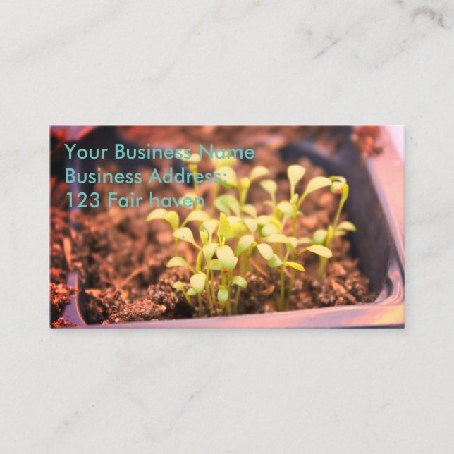 Carte De Visite Microgreens (Devant)