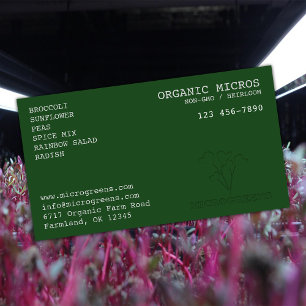 Carte De Visite Microgreens organiques