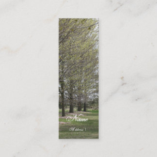 Carte De Visite Mini Affaires maigres