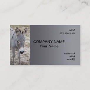 Carte De Visite mini âne