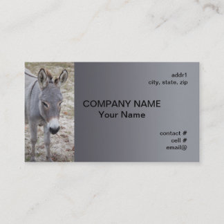 Carte De Visite mini âne
