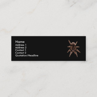 Carte De Visite Mini Araignée de tarentule