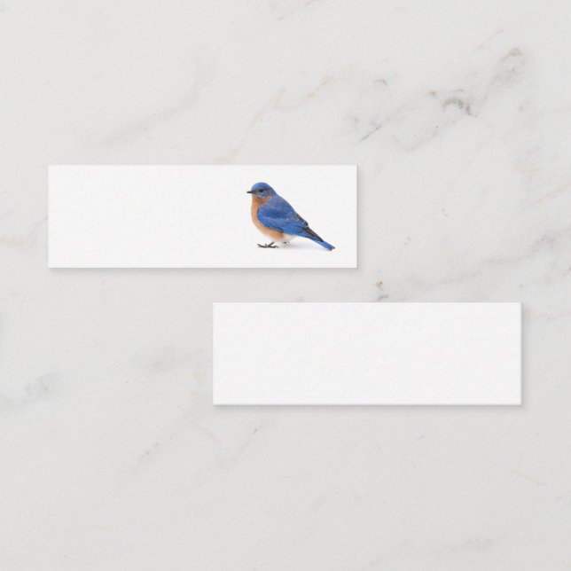 Carte De Visite Mini Bluebird (Devant / Derrière)