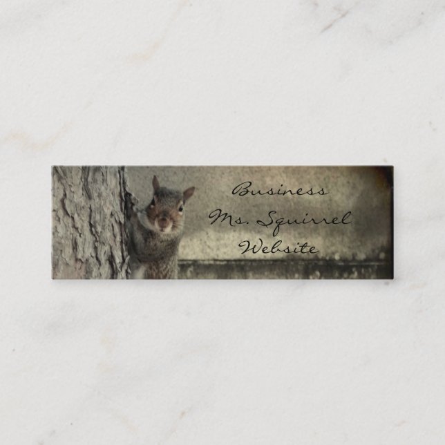 Carte De Visite Mini Bonjour Squirrel (Devant)