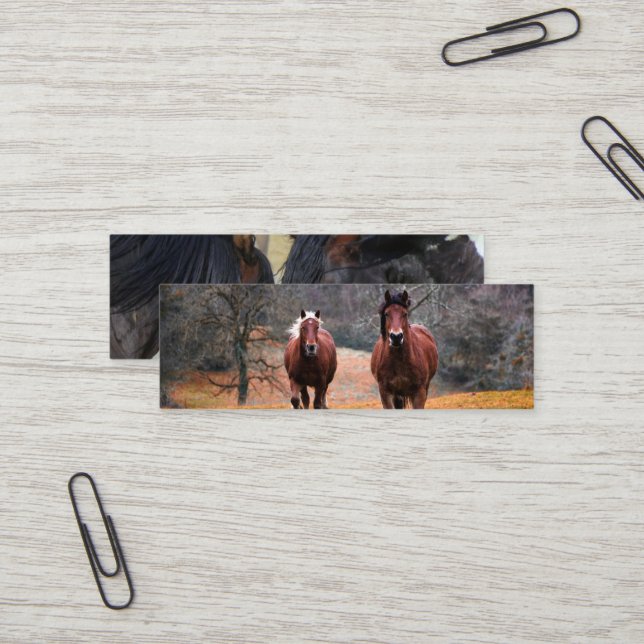 Carte De Visite Mini  Business Cards (Devant/Arrière en situation)