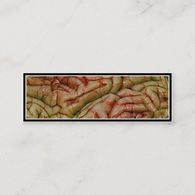 Carte De Visite Mini Cerveaux, BrainZZ BRAINZZ (Devant)