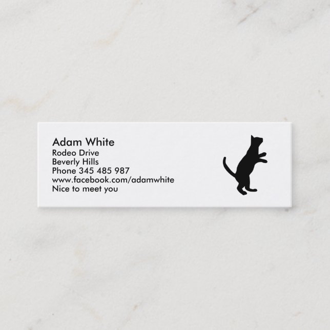 Carte De Visite Mini Chat (Devant)