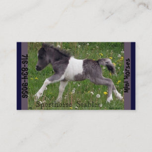 Carte De Visite Mini cheval