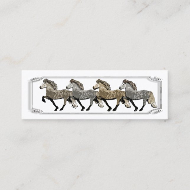 Carte De Visite Mini Chevaux islandais Astrid (Devant)