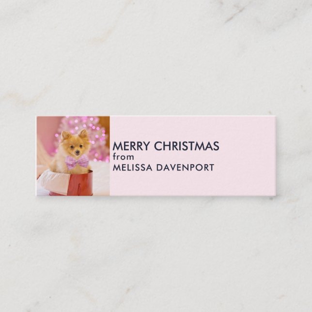Carte De Visite Mini Chien mignon avec cabot rose Photo de Noël (Devant)
