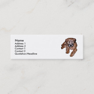 Carte De Visite Mini Chiot roux à revêtement souple