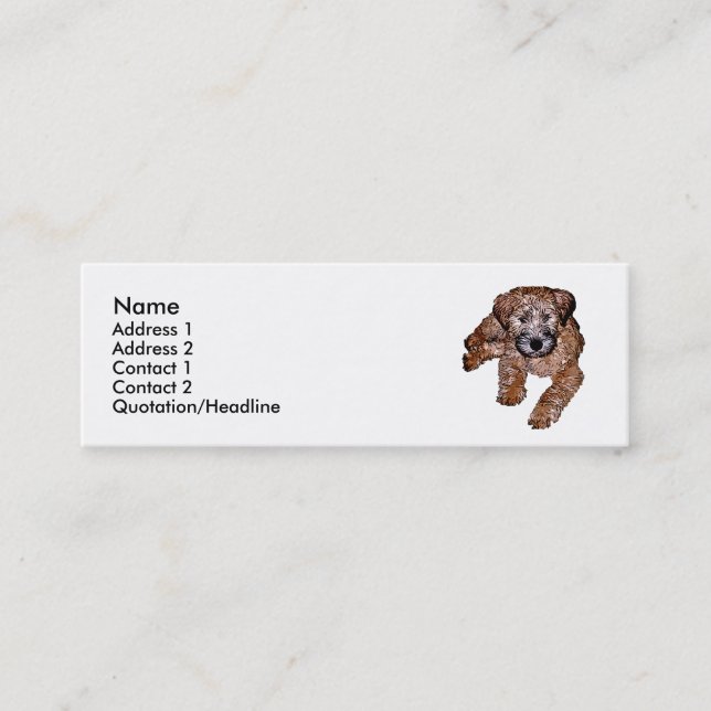 Carte De Visite Mini Chiot roux à revêtement souple (Devant)
