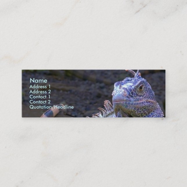 Carte De Visite Mini Échelles obtenues ? (Devant)