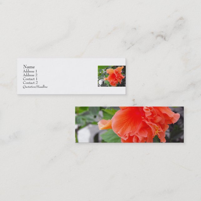 Carte De Visite Mini Fleur orange (Devant / Derrière)