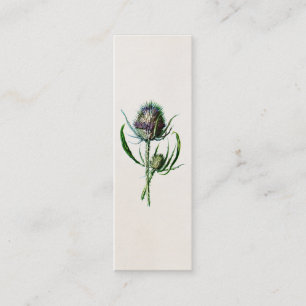 Carte De Visite Mini Fleur sauvage de vieux chardon écossais du cru