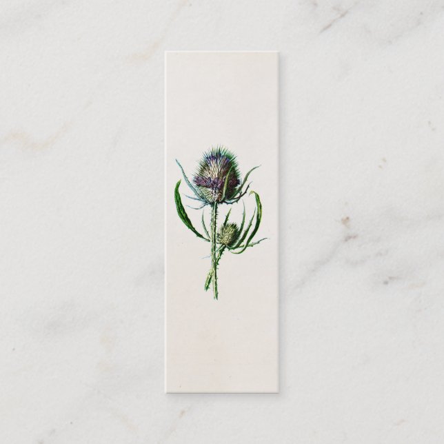 Carte De Visite Mini Fleur sauvage de vieux chardon écossais du cru (Devant)