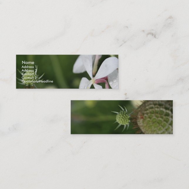 Carte De Visite Mini Gaura 2 (Devant / Derrière)