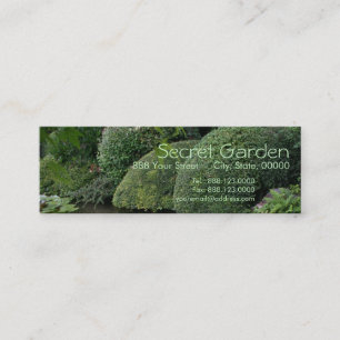 Carte De Visite Mini Hosta dans un jardin zen 1