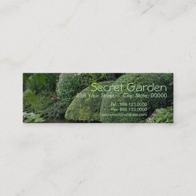 Carte De Visite Mini Hosta dans un jardin zen 1 (Devant)