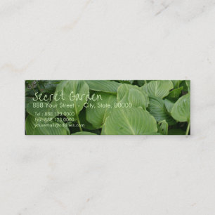 Carte De Visite Mini Hosta dans un jardin zen 2