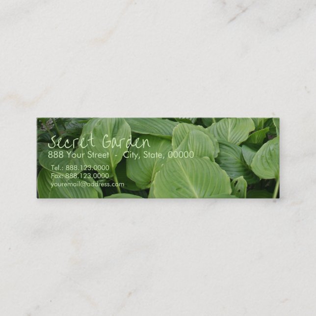 Carte De Visite Mini Hosta dans un jardin zen 2 (Devant)