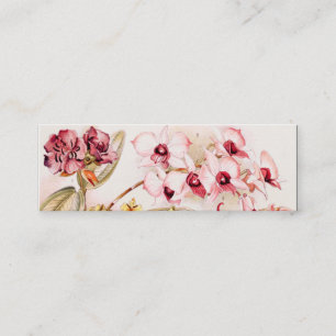 Carte De Visite Mini Illustration 1911 de fleur rose d'orchidée de cru