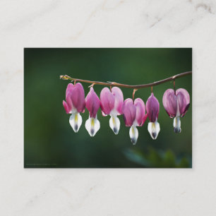 Carte De Visite Mini Impression Coeurs Dainty
