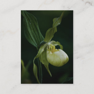 Carte De Visite Mini impression de chlipper jaune