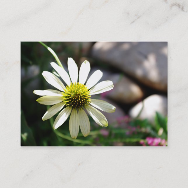 Carte De Visite Mini impression de jour d'été de la marguerite (Devant)