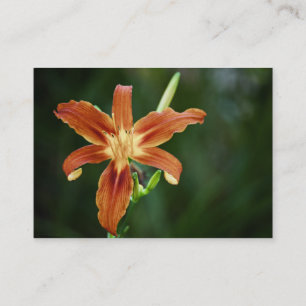 Carte De Visite Mini impression Lily P6588