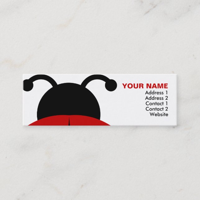 Carte De Visite Mini ladybugz. (Devant)