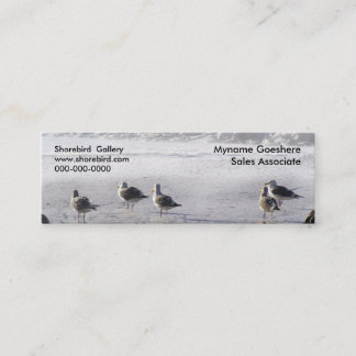 Carte De Visite Mini Le peloton de mouette