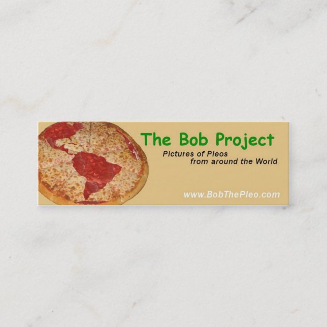 Carte De Visite Mini Le projet de Bob (Devant)