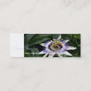 Carte De Visite Mini Passiflora 1 Floral Photographie Mini Business Cra