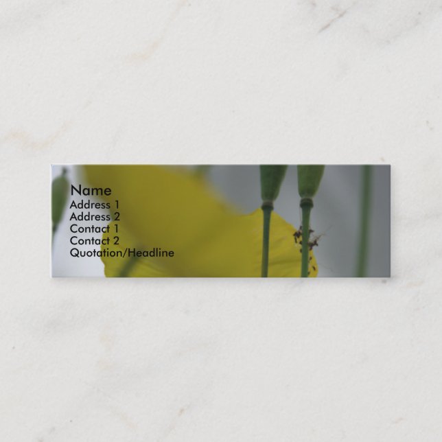 Carte De Visite Mini Pavois et ombre (8) (Devant)