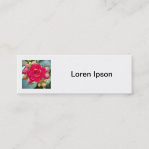 Carte De Visite Mini Photo carré - Fleur de Kalanchoe