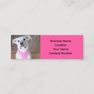Carte De Visite Mini Photo d'un chien blanc mignon aux yeux pleins rose